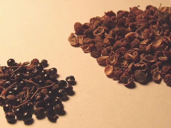 Zanthoxylum simulans seeds and husks - the husks are what give the distinctive tingling sensation Szechuan pepper is known for.